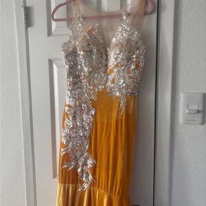 Elegant Gold and Silver Evening Dress